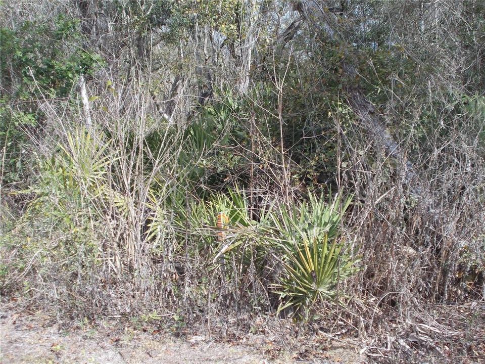 For Sale: $50,000 (1.83 acres)