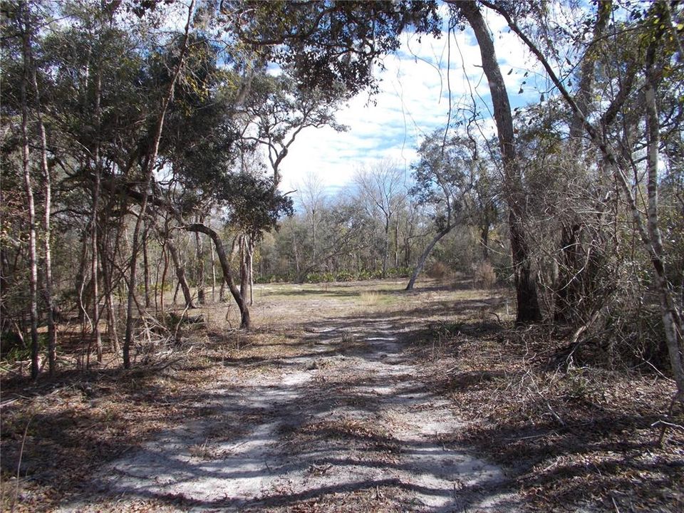 For Sale: $50,000 (1.83 acres)