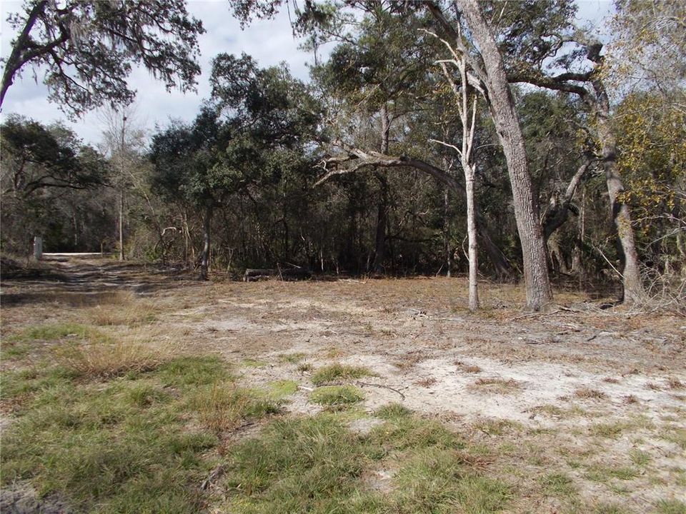 For Sale: $50,000 (1.83 acres)