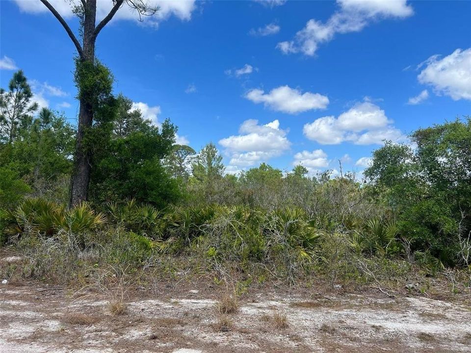 For Sale: $20,000 (0.23 acres)