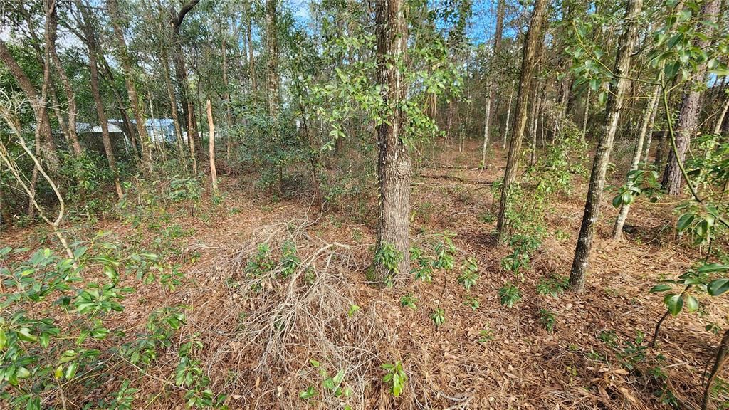 Active With Contract: $25,000 (0.29 acres)