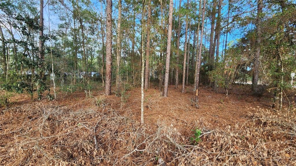 Active With Contract: $25,000 (0.29 acres)