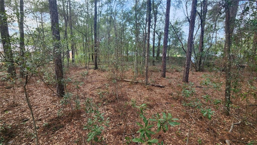 Active With Contract: $25,000 (0.29 acres)