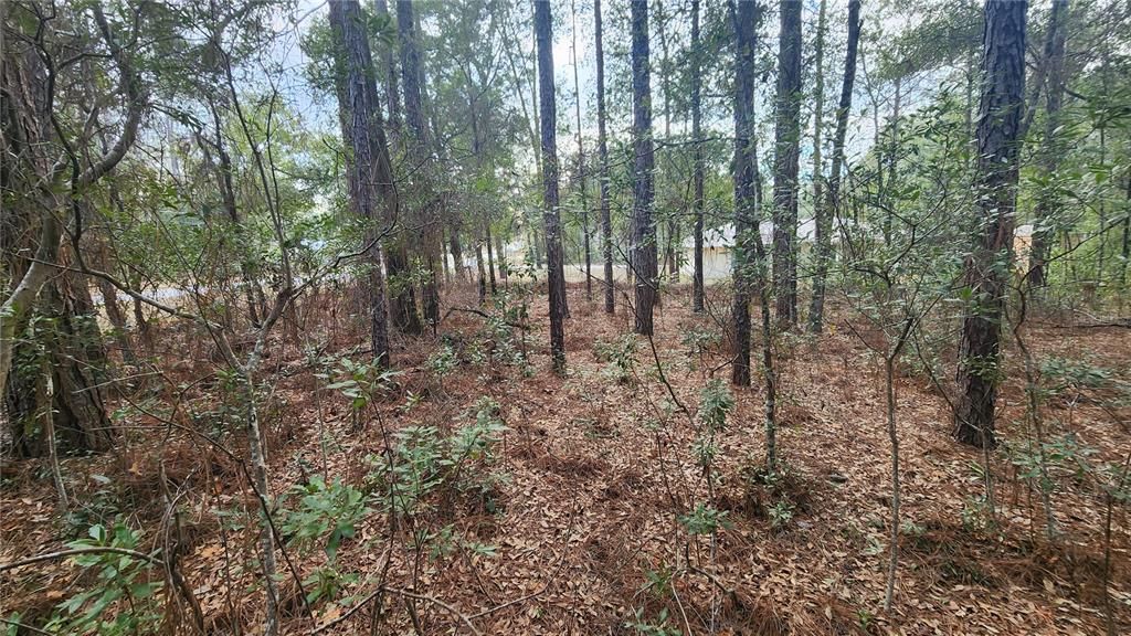 Active With Contract: $25,000 (0.29 acres)