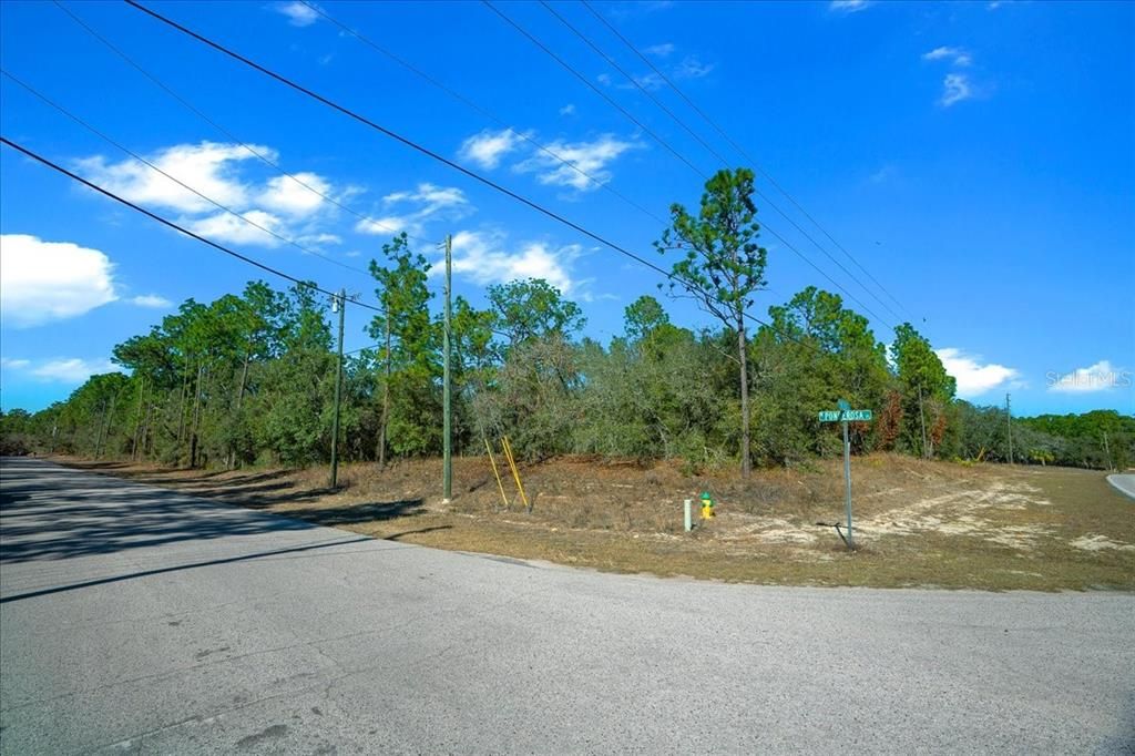 For Sale: $169,000 (3.36 acres)