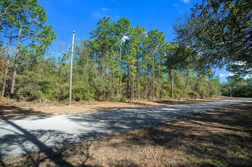 For Sale: $169,000 (3.36 acres)