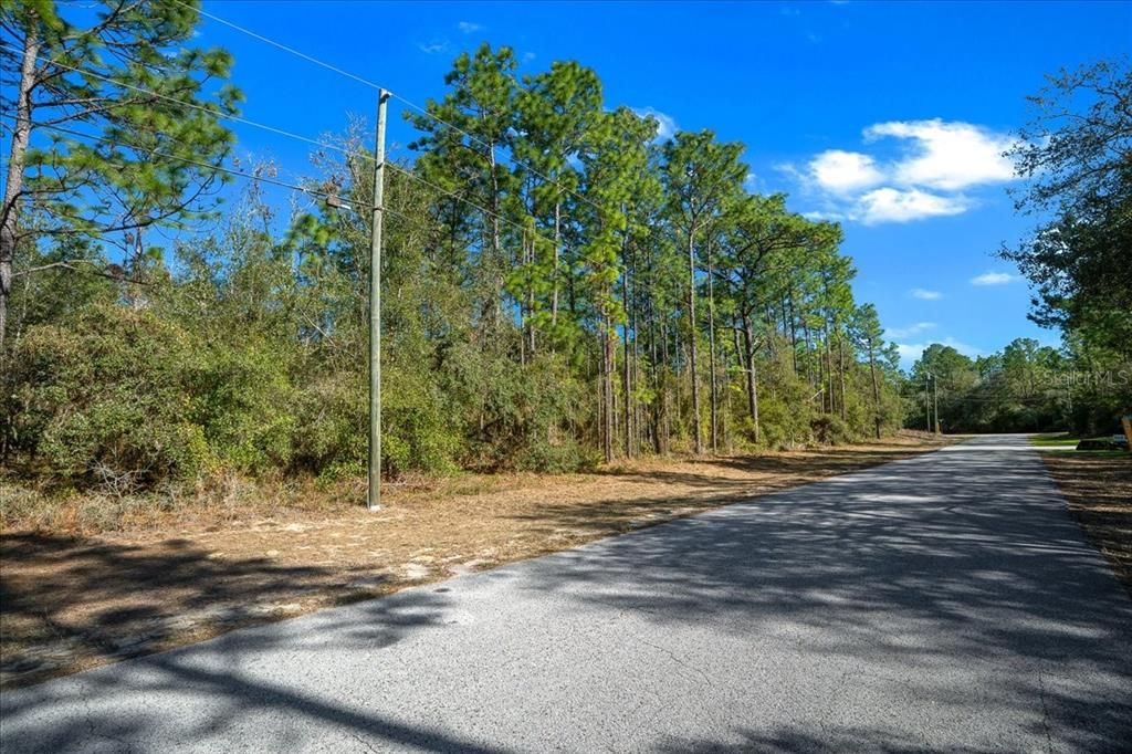 For Sale: $169,000 (3.36 acres)