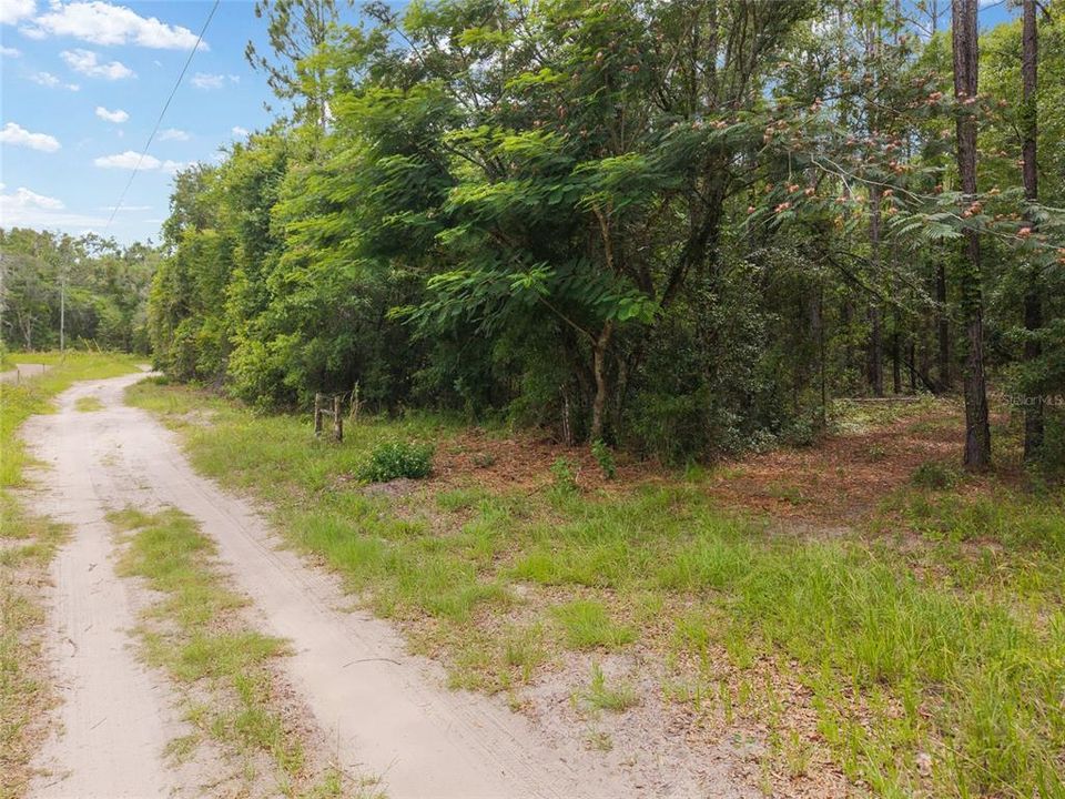 For Sale: $180,000 (8.90 acres)