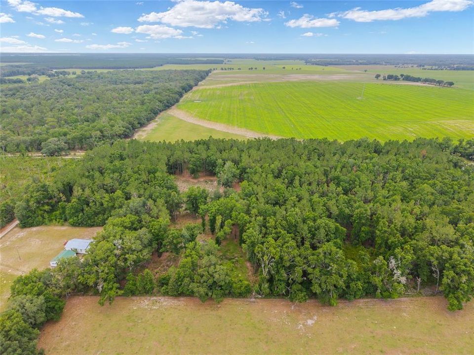 For Sale: $180,000 (8.90 acres)