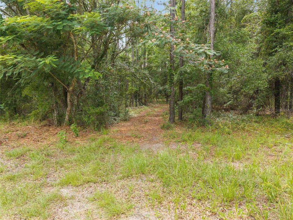 For Sale: $180,000 (8.90 acres)