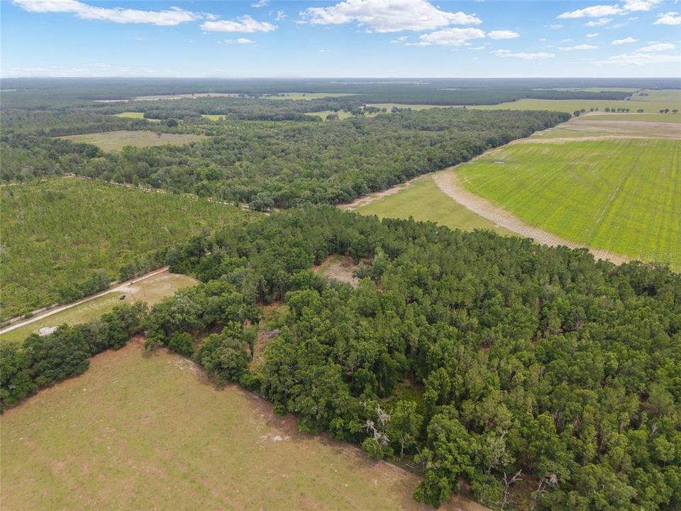 For Sale: $180,000 (8.90 acres)