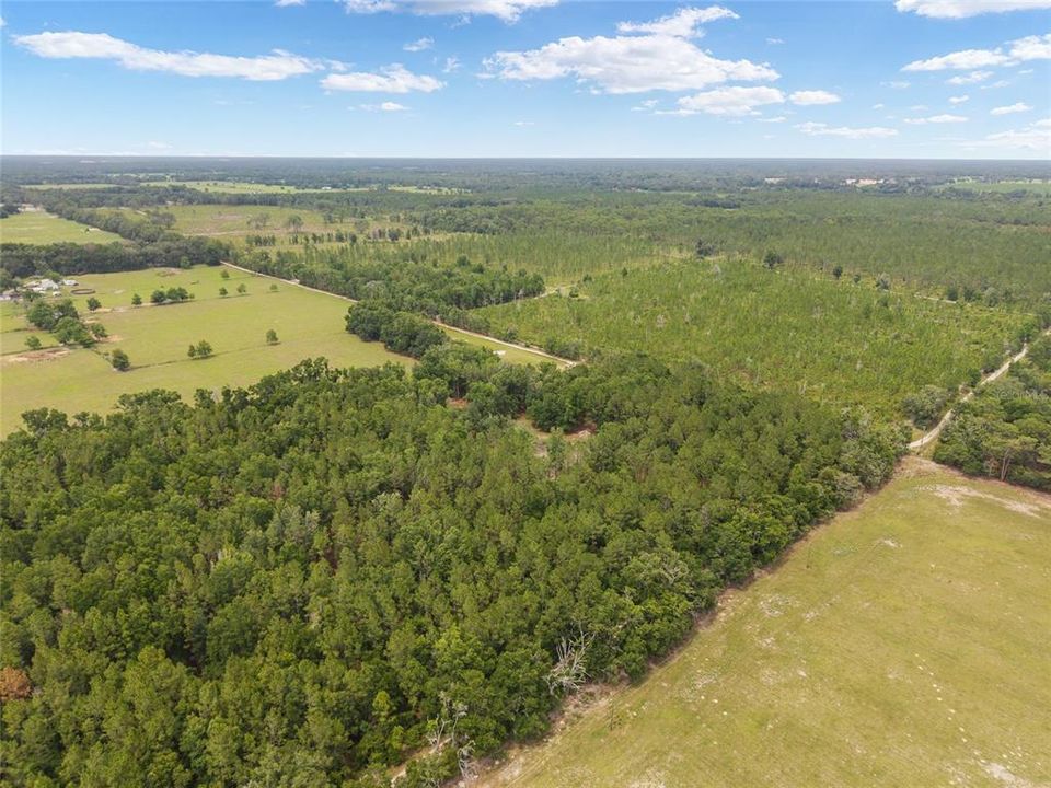 For Sale: $180,000 (8.90 acres)