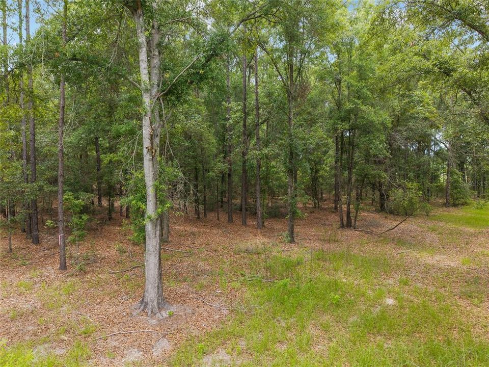 For Sale: $180,000 (8.90 acres)