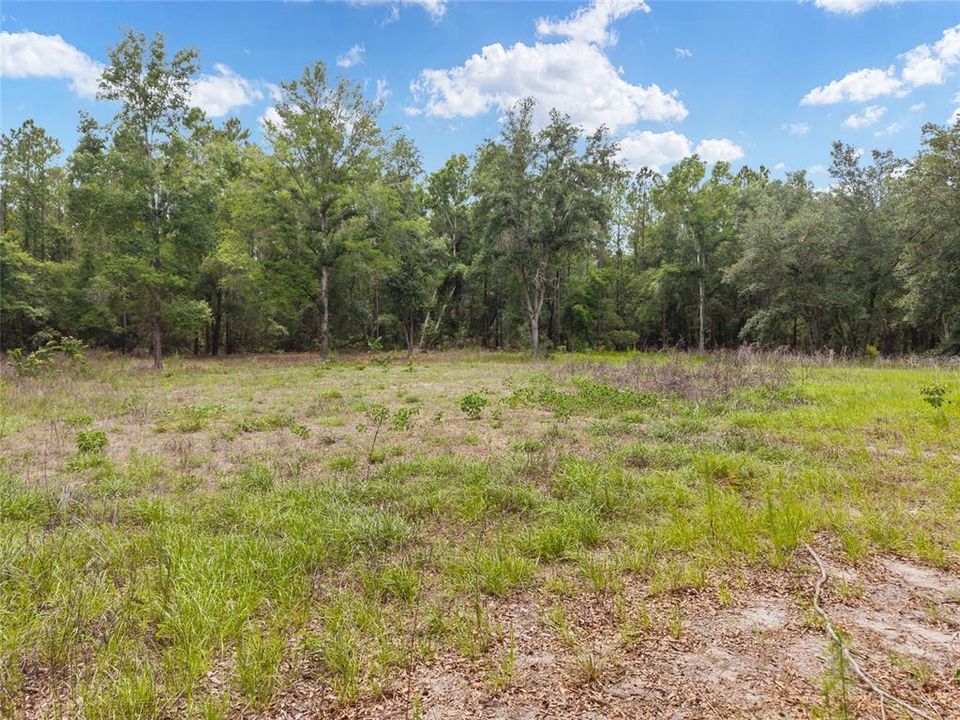 For Sale: $180,000 (8.90 acres)