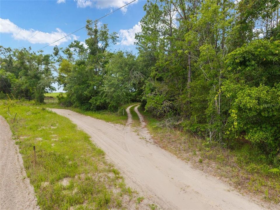 For Sale: $180,000 (8.90 acres)