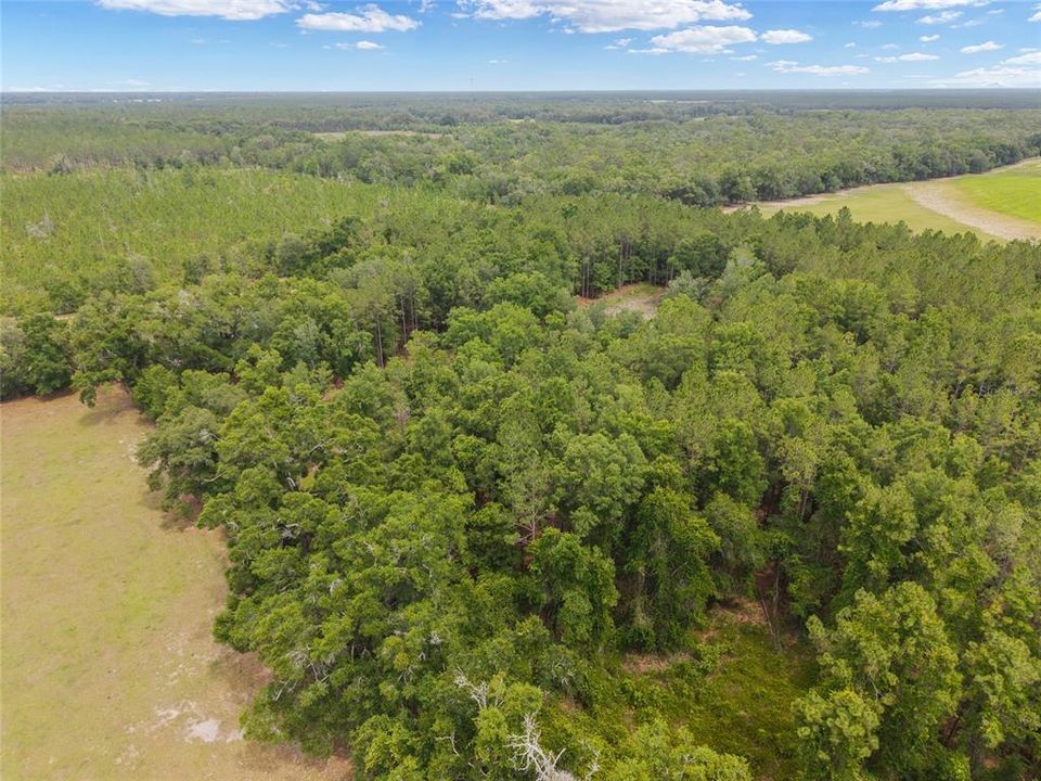 For Sale: $180,000 (8.90 acres)