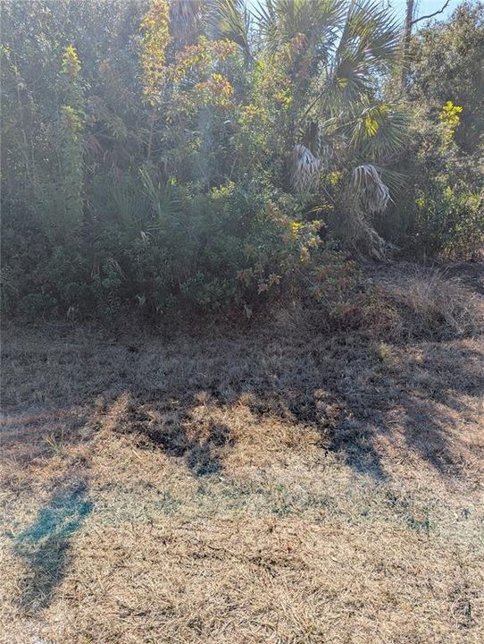 For Sale: $69,000 (0.40 acres)