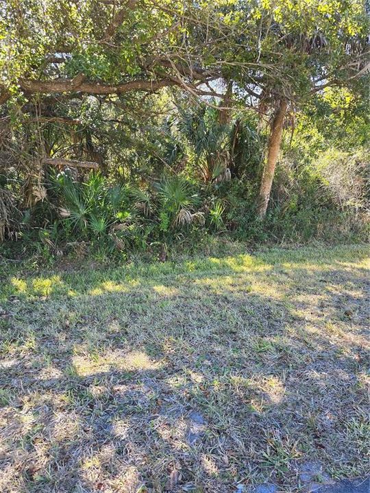 For Sale: $69,000 (0.40 acres)