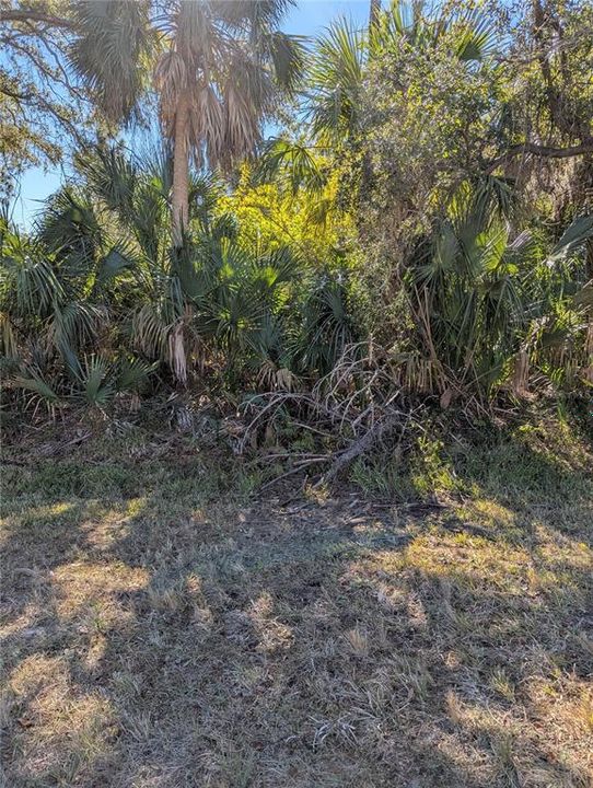 For Sale: $69,000 (0.40 acres)