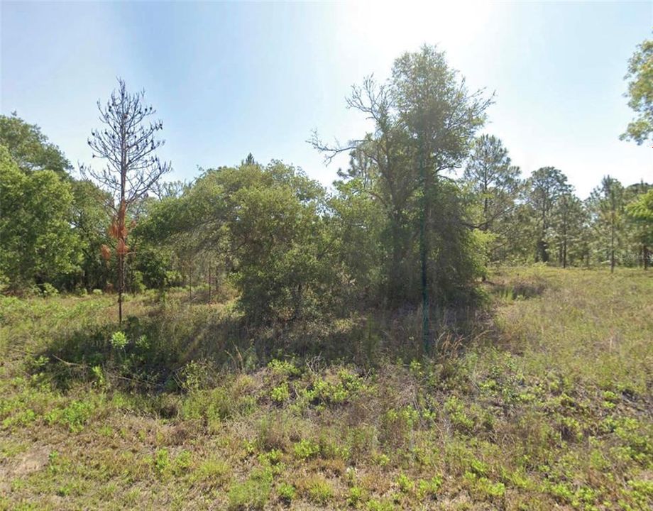Recently Sold: $25,000 (0.99 acres)