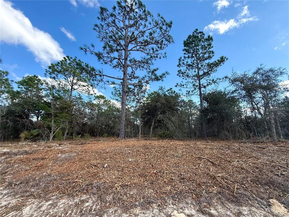 Activo con contrato: $19,900 (0.23 acres)