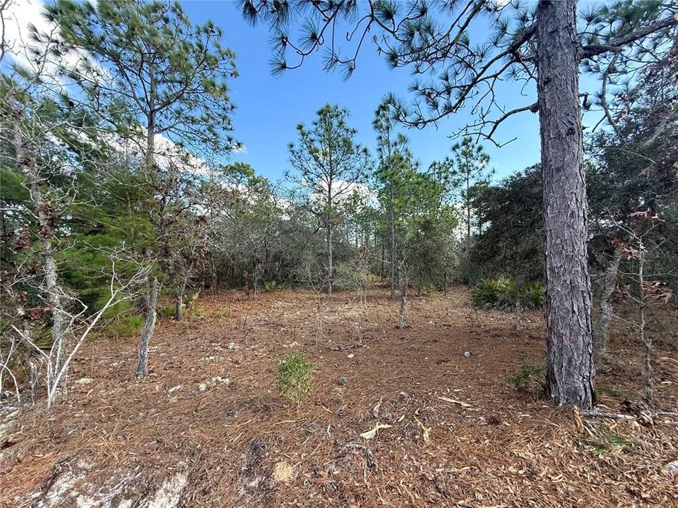 Activo con contrato: $19,900 (0.23 acres)