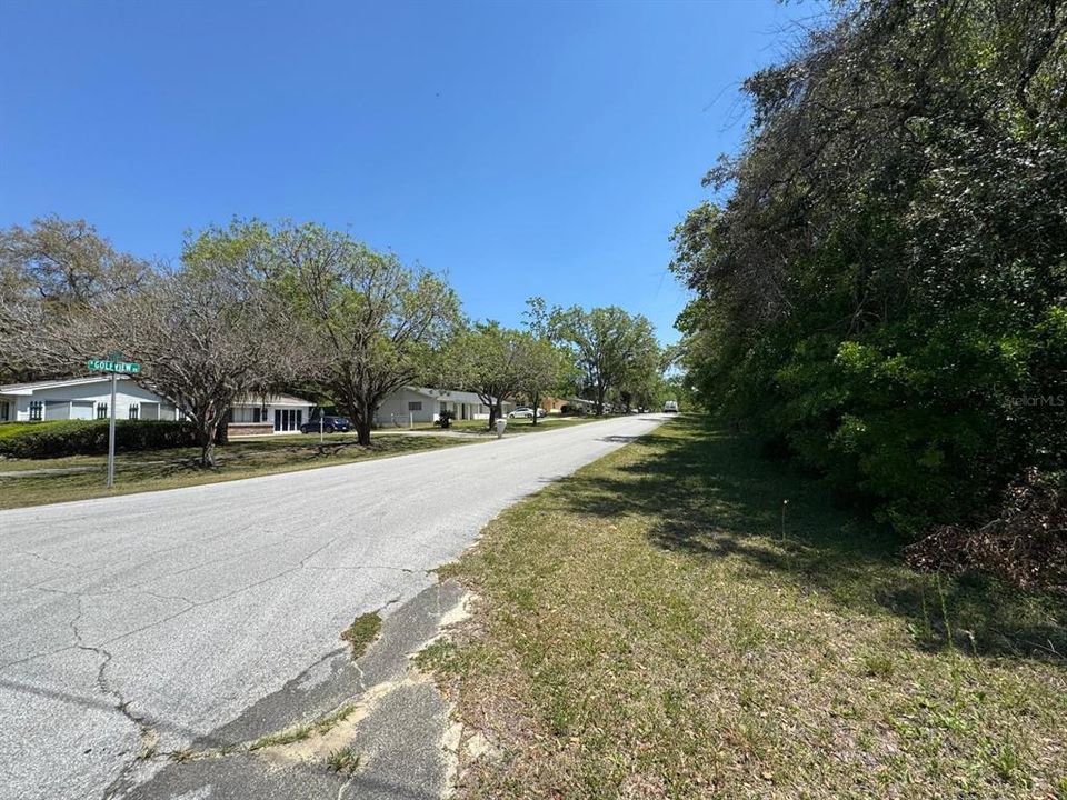 Activo con contrato: $27,900 (0.33 acres)