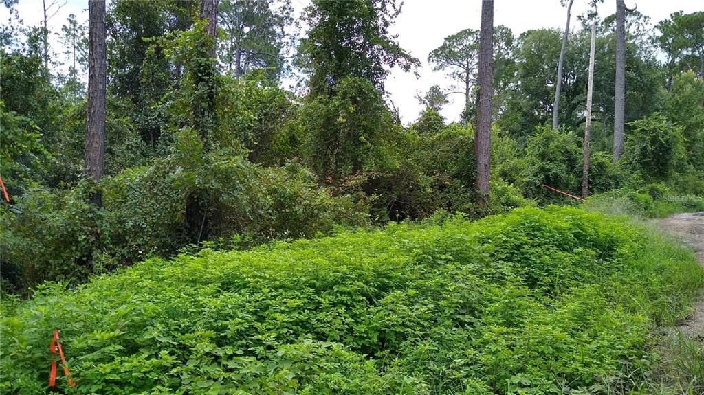 На продажу: $32,900 (0.26 acres)