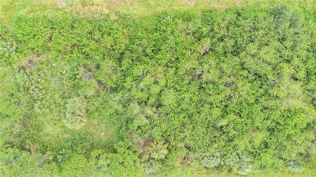 На продажу: $24,900 (0.24 acres)