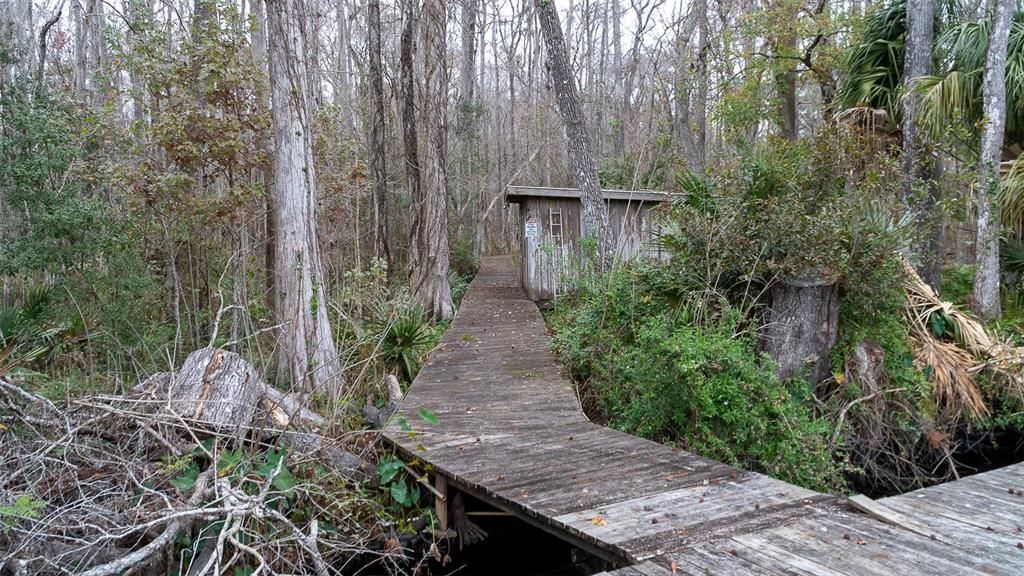 待售: $295,000 (3.25 acres)
