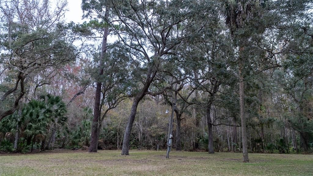 待售: $295,000 (3.25 acres)