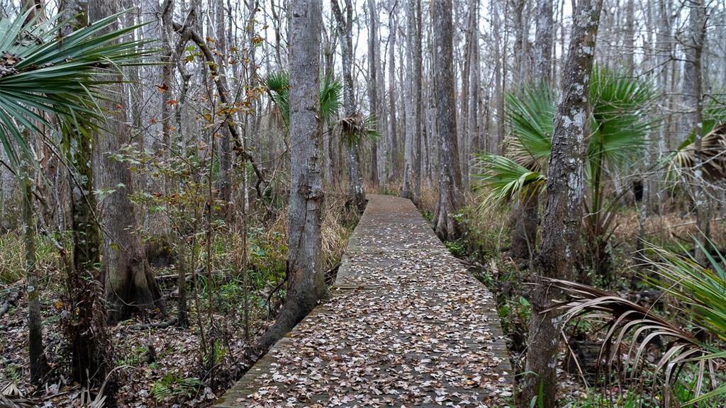 待售: $295,000 (3.25 acres)