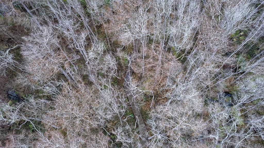 待售: $295,000 (3.25 acres)