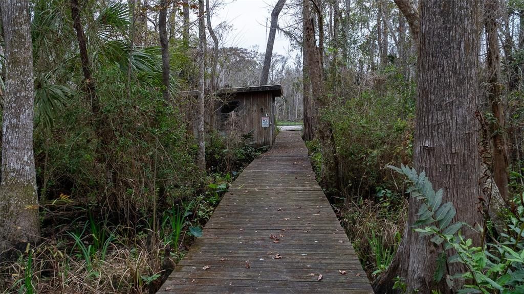 待售: $295,000 (3.25 acres)