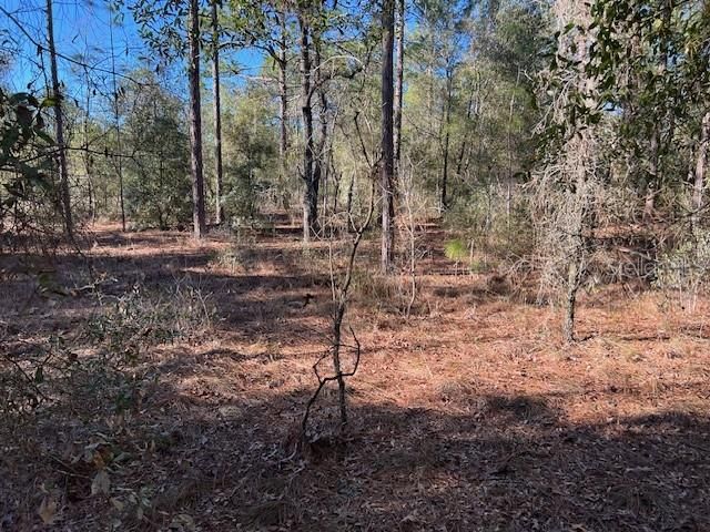 Active With Contract: $34,900 (1.15 acres)