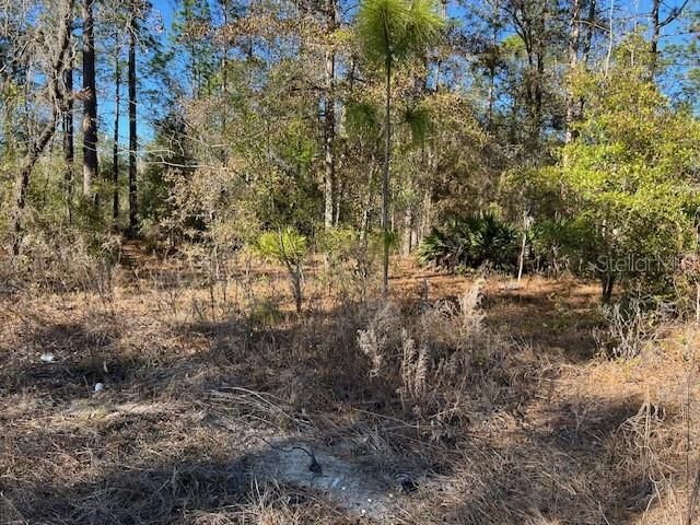 Active With Contract: $34,900 (1.15 acres)