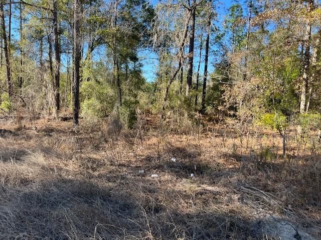Active With Contract: $34,900 (1.15 acres)