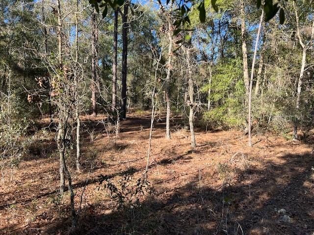 Active With Contract: $34,900 (1.15 acres)