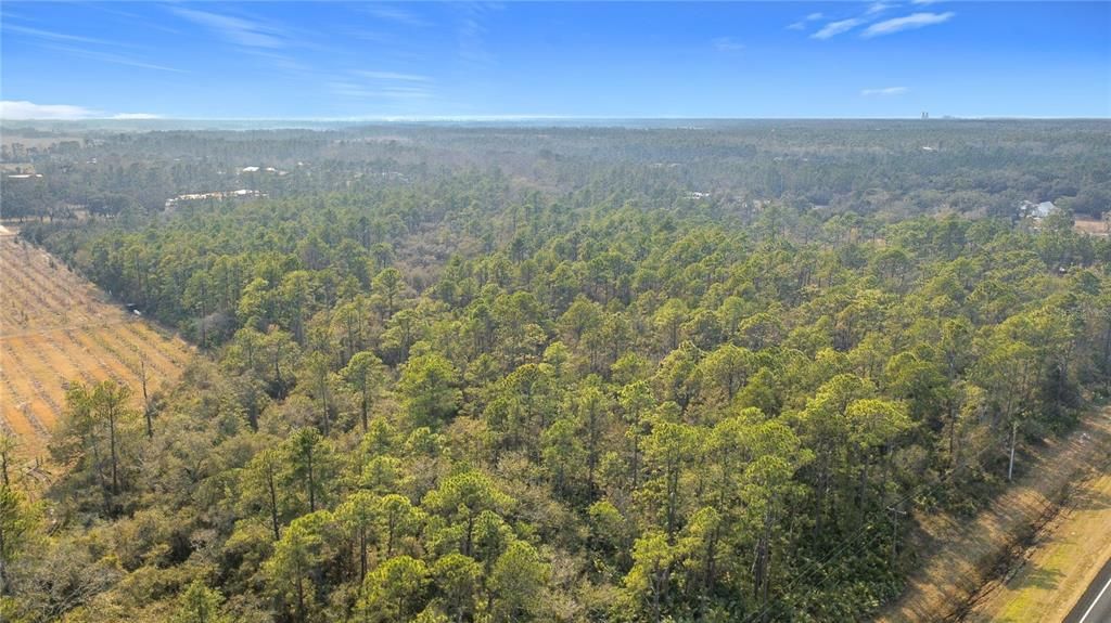 En Venta: $960,000 (13.31 acres)