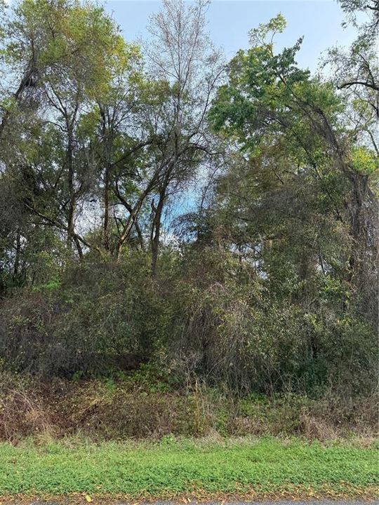 На продажу: $21,000 (0.24 acres)