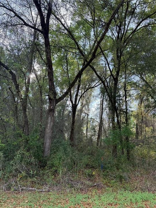 На продажу: $21,000 (0.24 acres)