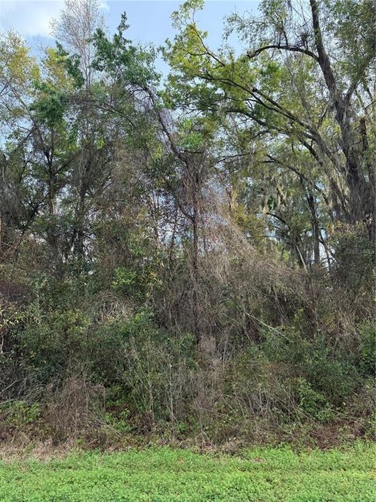 На продажу: $21,000 (0.24 acres)