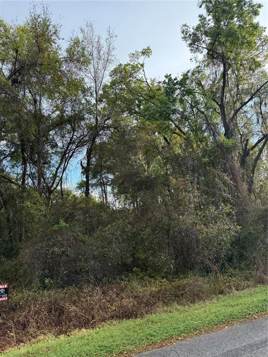 На продажу: $21,000 (0.24 acres)