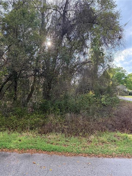 На продажу: $21,000 (0.24 acres)