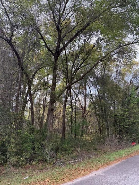 На продажу: $21,000 (0.24 acres)