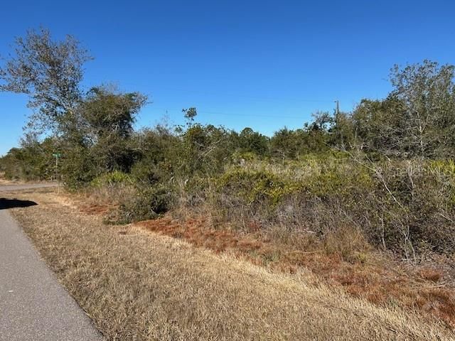 待售: $25,000 (0.25 acres)