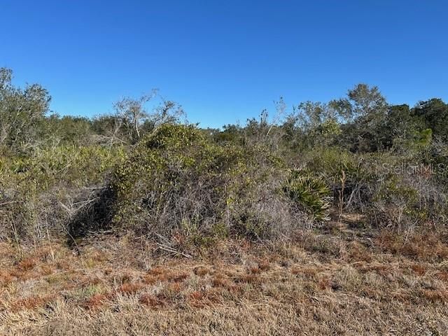待售: $25,000 (0.22 acres)