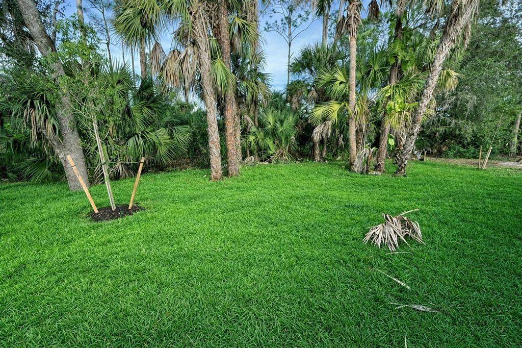 For Rent: $2,000 (3 beds, 2 baths, 1615 Square Feet)