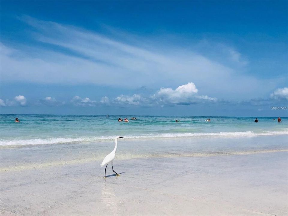 На продажу: $6,250,000 (0.59 acres)