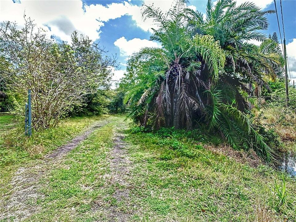 待售: $679,000 (4.73 acres)
